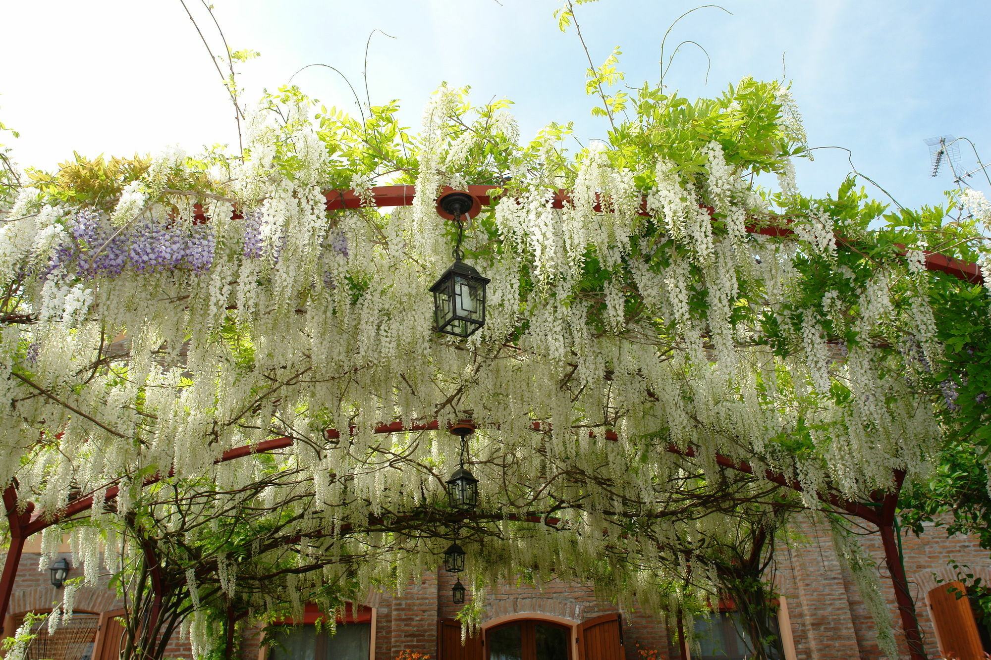 Lama Di Valle Rosa Hotel Ferrara Exterior photo